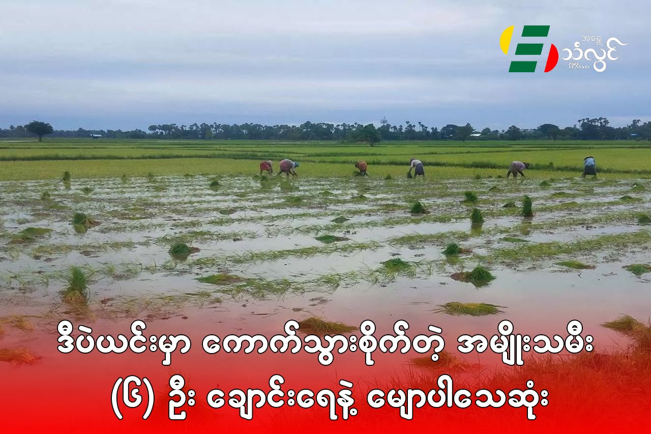 ဒီပဲယင်းမှာ ကောက်သွားစိုက်တဲ့ အမျိုးသမီး(၆) ဦး ချောင်းရေနဲ့ မျောပါသေဆုံး