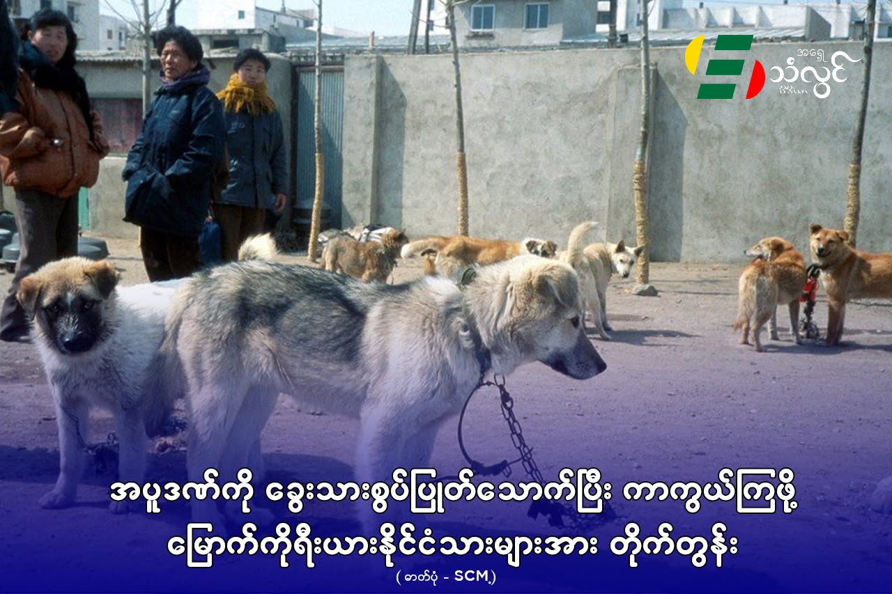 အပူဒဏ်ကို ခွေသားစွပ်ပြုတ်သောက်ပြီး ကာကွယ်ကြဖို့ မြောက်ကိုရီးယားနိုင်ငံသားများအား တိုက်တွန်း