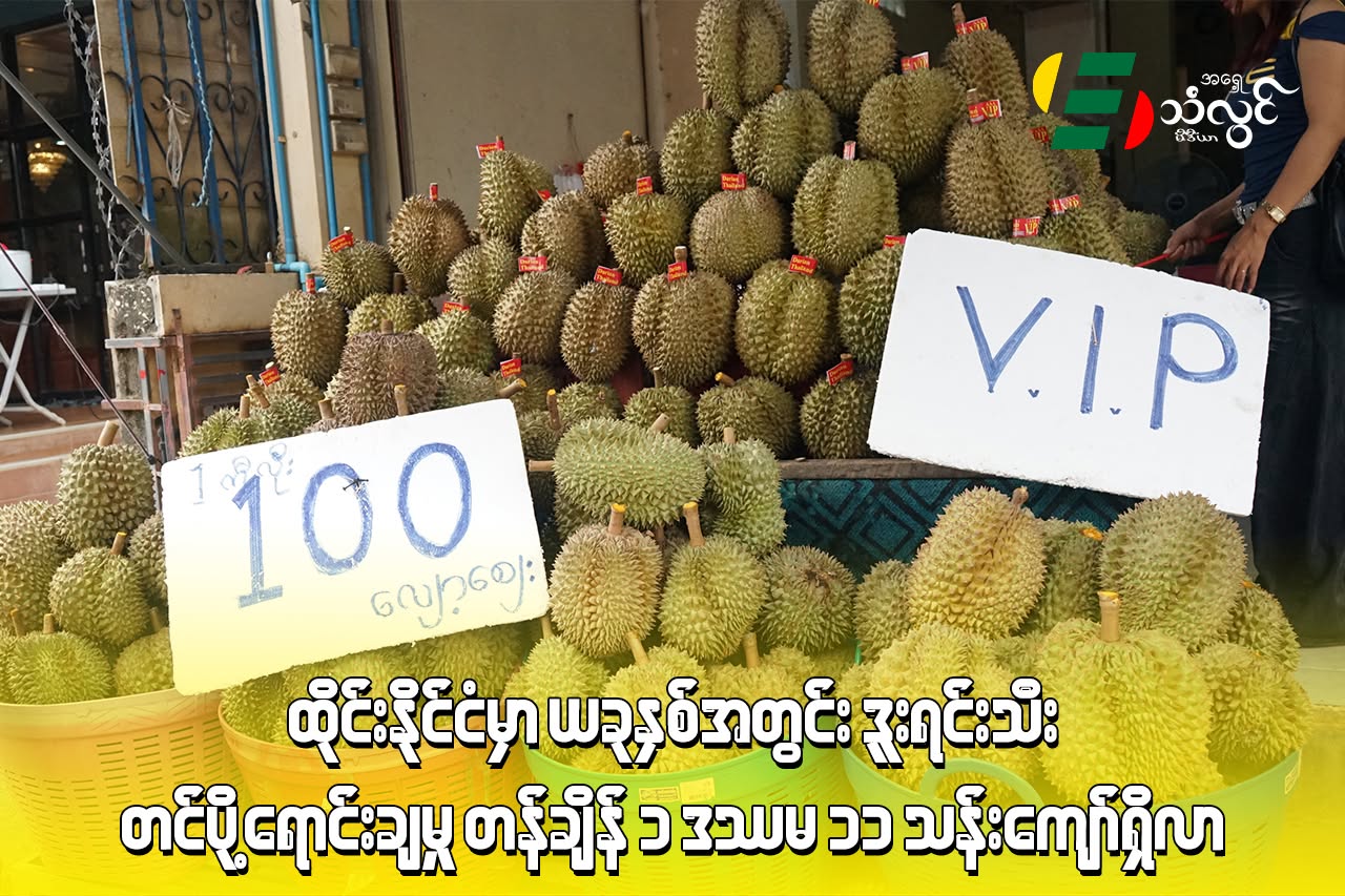 ထိုင်းနိုင်ငံမှာ ယခုနှစ်အတွင်း ဒူးရင်းသီးတင်ပို့ရောင်းချမှု တန်ချိန် (၁.၁၁) သန်းကျော်ရှိလာ