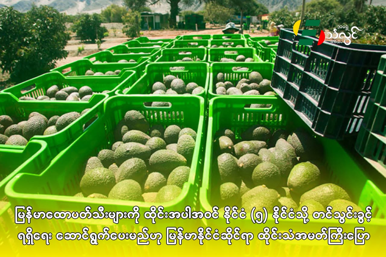 မြန်မာထောပတ်သီးများကို ထိုင်းအပါဝင် နိုင်ငံ(၅)နိုင်ငံသို့ တင်သွင်းခွင့်ရရှိရေး ဆောင်ရွက်ပေးမည်ဟု မြန်မာနိုင်ငံဆိုင်ရာ ထိုင်းသံအမတ်ကြီး ပြောကြား