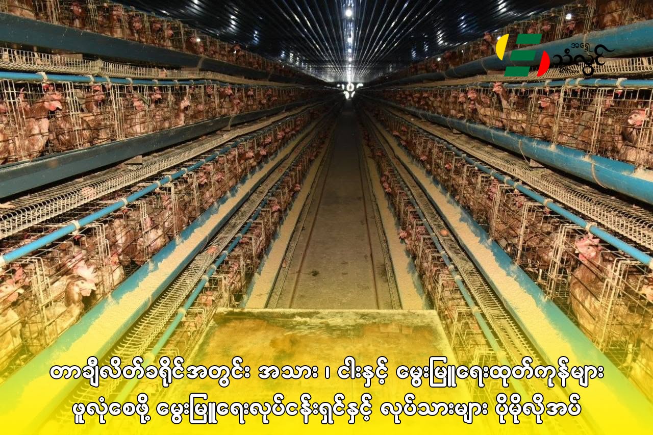 တာချီလိတ်ခရိုင်အတွင်း အသား၊ ငါးနှင့် မွေးမြူရေးထုတ်ကုန်များ ဖူလုံစေဖို့ မွေးမြူရေးလုပ်ငန်းရှင်နှင့် လုပ်သားများ ပိုမိုလိုအပ်